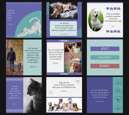 Animal quotes templates Canva animal quote templates for pet businesses.